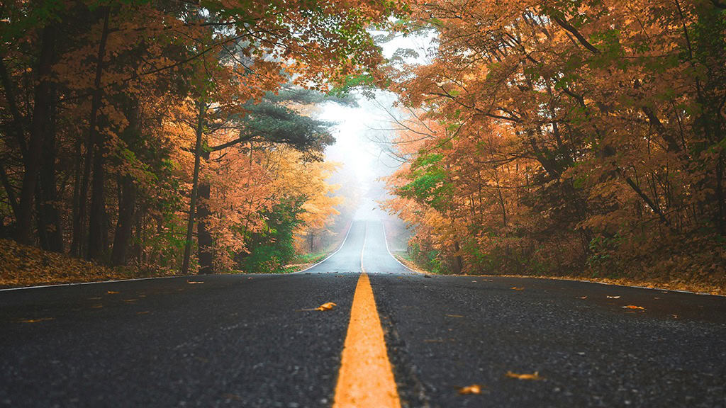 OCTOBER 2024 WALLPAPERS – 60 FREE PHONE &amp; DESKTOP CALENDARS!, Oh So Lovely Blog