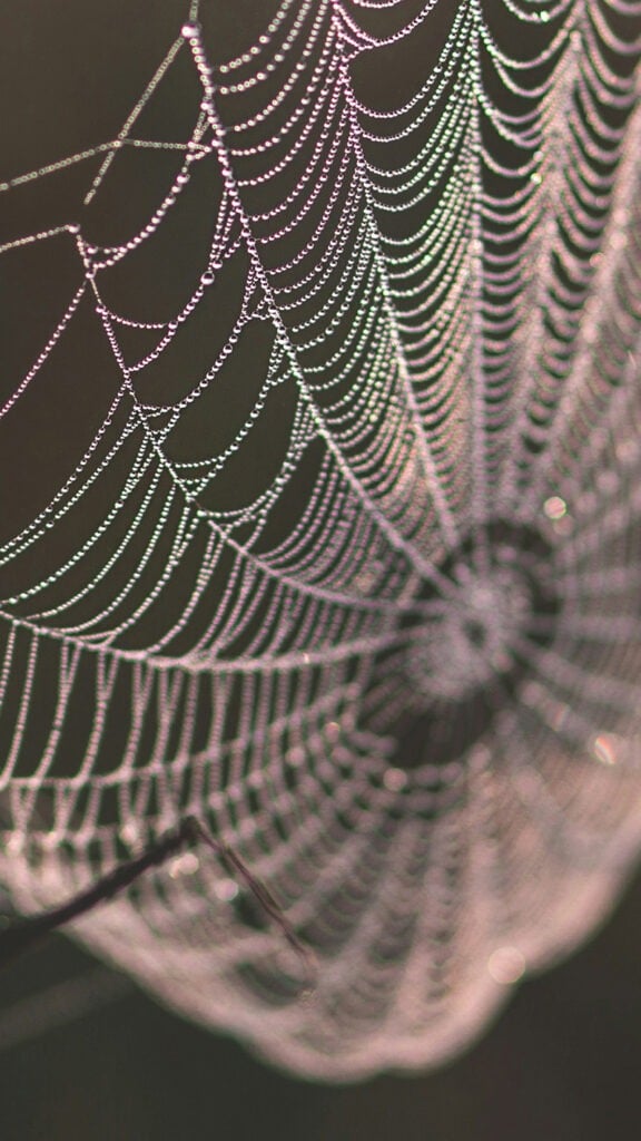 OCTOBER 2024 WALLPAPERS – 60 FREE PHONE &amp; DESKTOP CALENDARS!, Oh So Lovely Blog