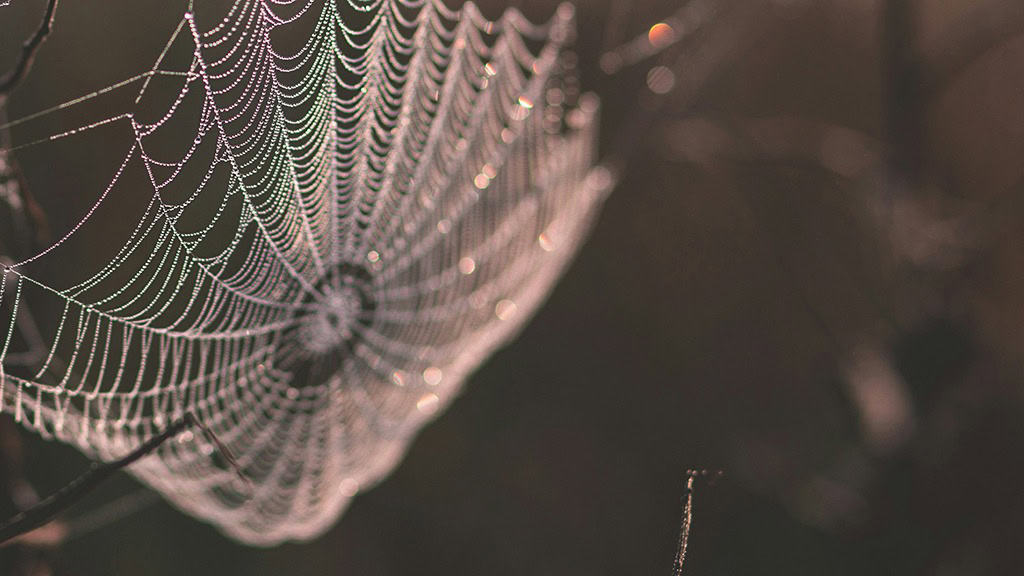 OCTOBER 2024 WALLPAPERS – 60 FREE PHONE &amp; DESKTOP CALENDARS!, Oh So Lovely Blog