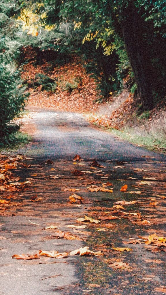 OCTOBER 2024 WALLPAPERS – 60 FREE PHONE &amp; DESKTOP CALENDARS!, Oh So Lovely Blog