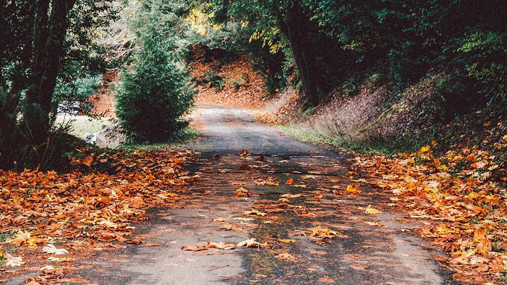 OCTOBER 2024 WALLPAPERS – 60 FREE PHONE &amp; DESKTOP CALENDARS!, Oh So Lovely Blog