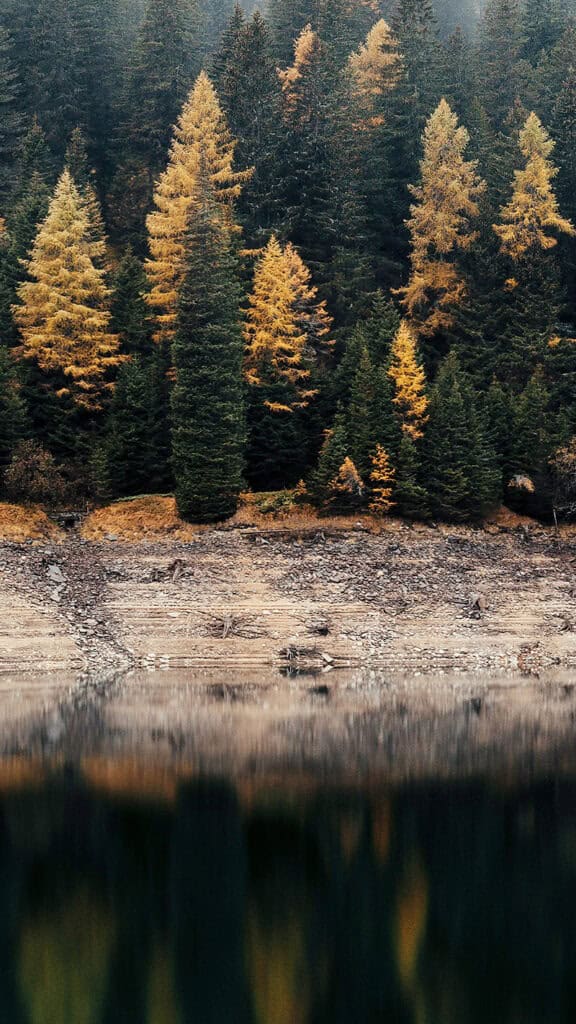 OCTOBER 2024 WALLPAPERS – 60 FREE PHONE &amp; DESKTOP CALENDARS!, Oh So Lovely Blog
