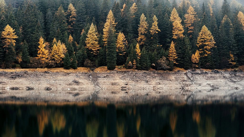 OCTOBER 2024 WALLPAPERS – 60 FREE PHONE &amp; DESKTOP CALENDARS!, Oh So Lovely Blog