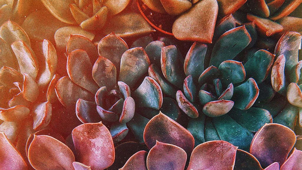 OCTOBER 2024 WALLPAPERS – 60 FREE PHONE &amp; DESKTOP CALENDARS!, Oh So Lovely Blog