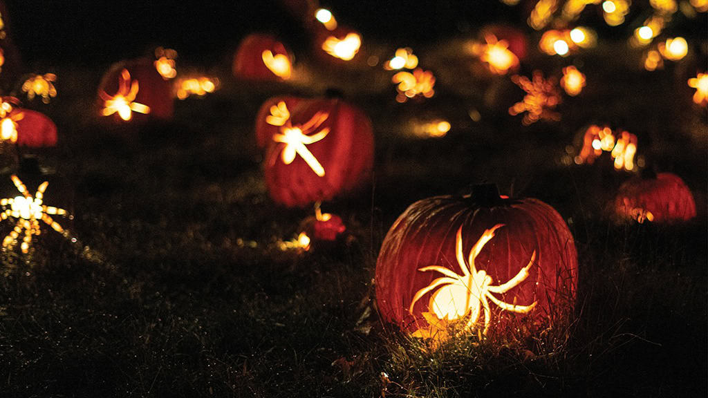 OCTOBER 2024 WALLPAPERS – 60 FREE PHONE &amp; DESKTOP CALENDARS!, Oh So Lovely Blog