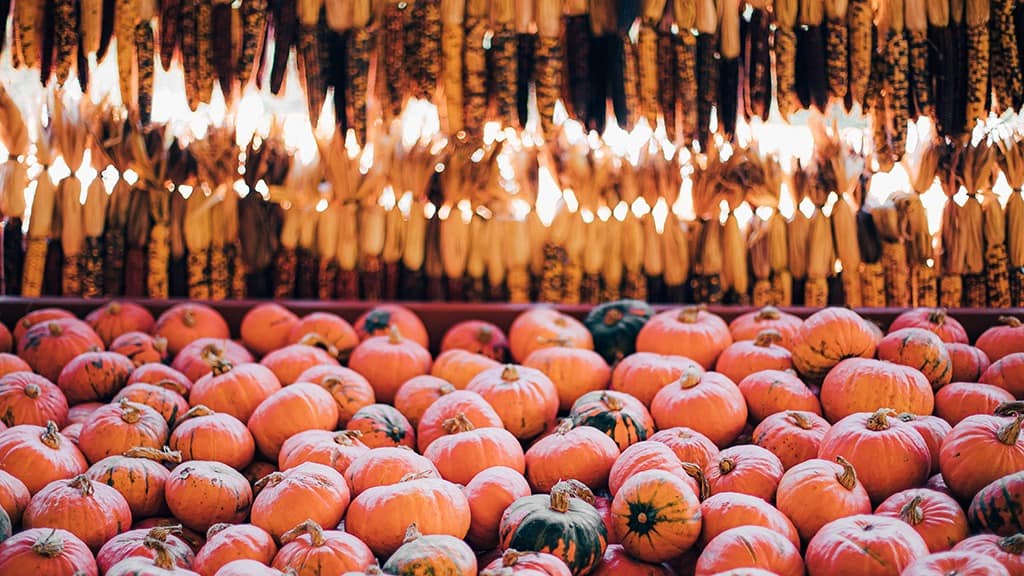 OCTOBER 2024 WALLPAPERS – 60 FREE PHONE &amp; DESKTOP CALENDARS!, Oh So Lovely Blog