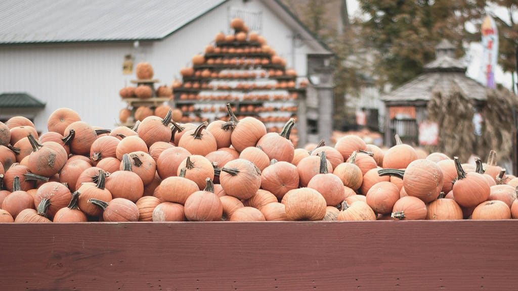 OCTOBER 2024 WALLPAPERS – 60 FREE PHONE &amp; DESKTOP CALENDARS!, Oh So Lovely Blog