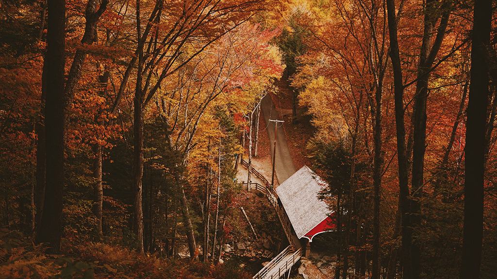OCTOBER 2024 WALLPAPERS – 60 FREE PHONE &amp; DESKTOP CALENDARS!, Oh So Lovely Blog