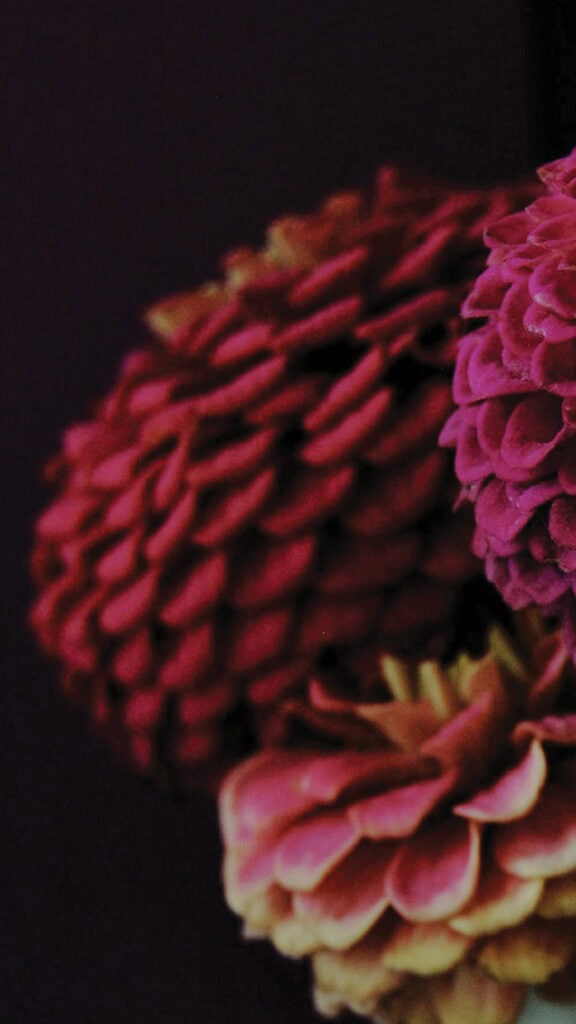OCTOBER 2024 WALLPAPERS – 60 FREE PHONE &amp; DESKTOP CALENDARS!, Oh So Lovely Blog