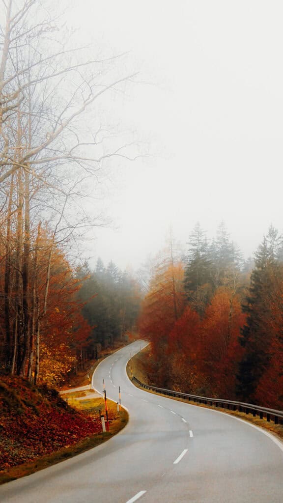 OCTOBER 2024 WALLPAPERS – 60 FREE PHONE &amp; DESKTOP CALENDARS!, Oh So Lovely Blog