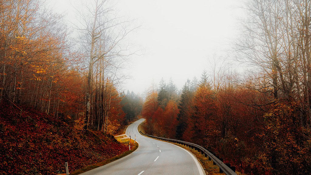 OCTOBER 2024 WALLPAPERS – 60 FREE PHONE &amp; DESKTOP CALENDARS!, Oh So Lovely Blog