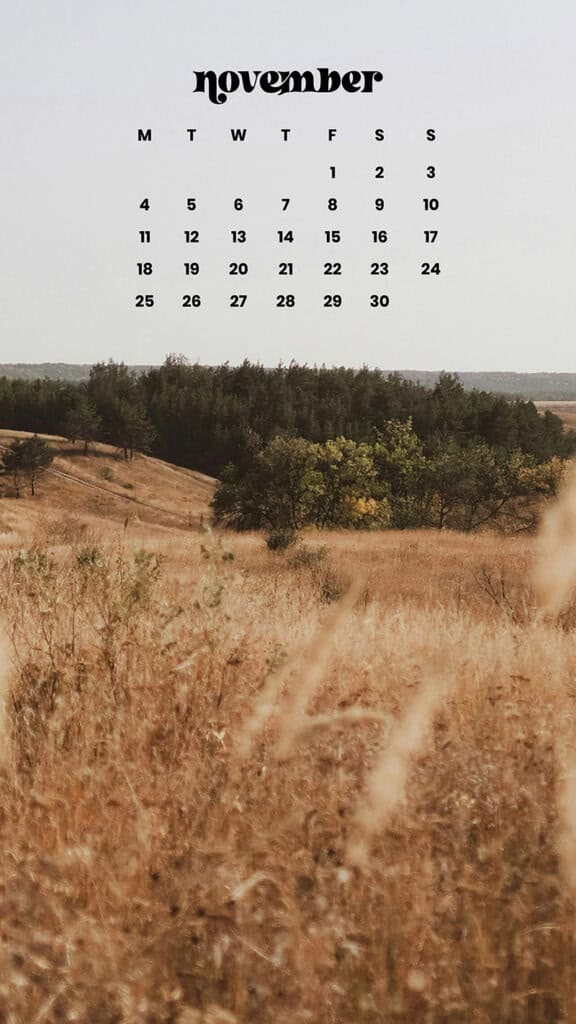 NOVEMBER 2024 WALLPAPERS – 60 FREE PHONE &amp; DESKTOP CALENDARS!, Oh So Lovely Blog