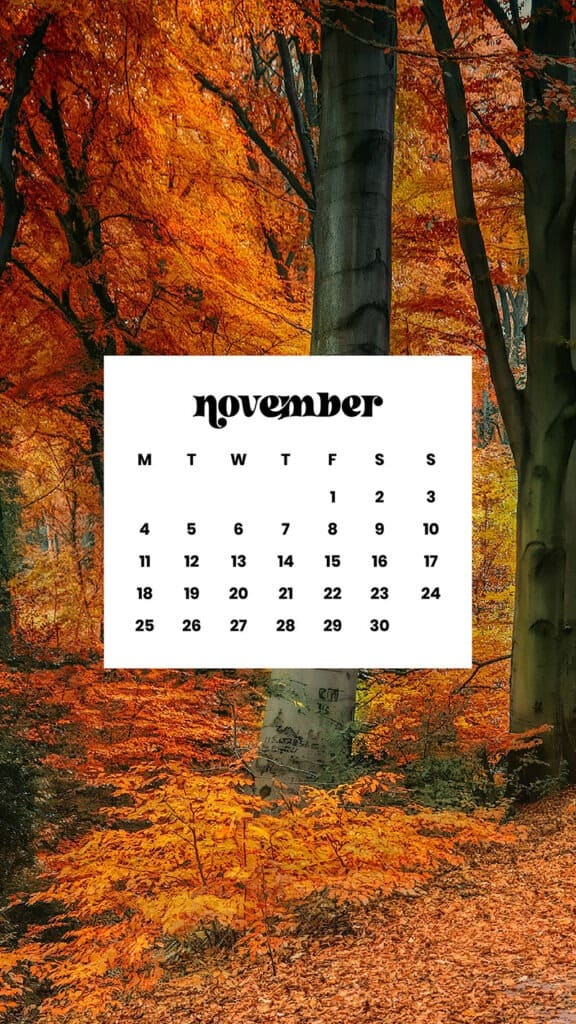 NOVEMBER 2024 WALLPAPERS – 60 FREE PHONE &amp; DESKTOP CALENDARS!, Oh So Lovely Blog