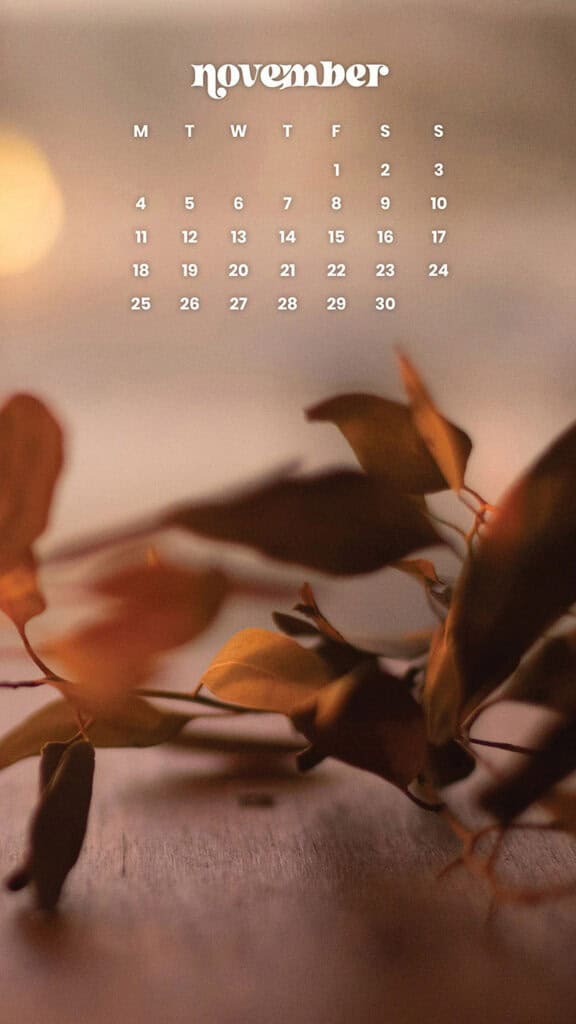 NOVEMBER 2024 WALLPAPERS – 60 FREE PHONE &amp; DESKTOP CALENDARS!, Oh So Lovely Blog