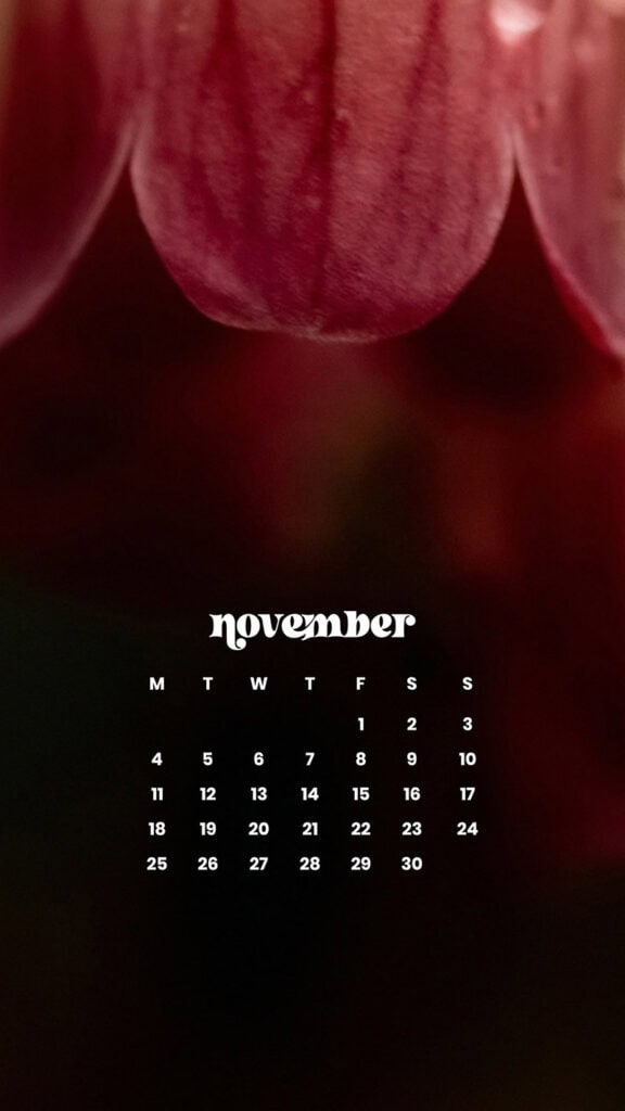 NOVEMBER 2024 WALLPAPERS – 60 FREE PHONE &amp; DESKTOP CALENDARS!, Oh So Lovely Blog
