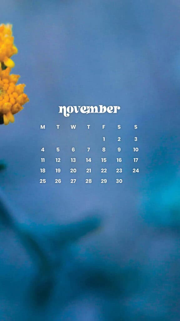 NOVEMBER 2024 WALLPAPERS – 60 FREE PHONE &amp; DESKTOP CALENDARS!, Oh So Lovely Blog