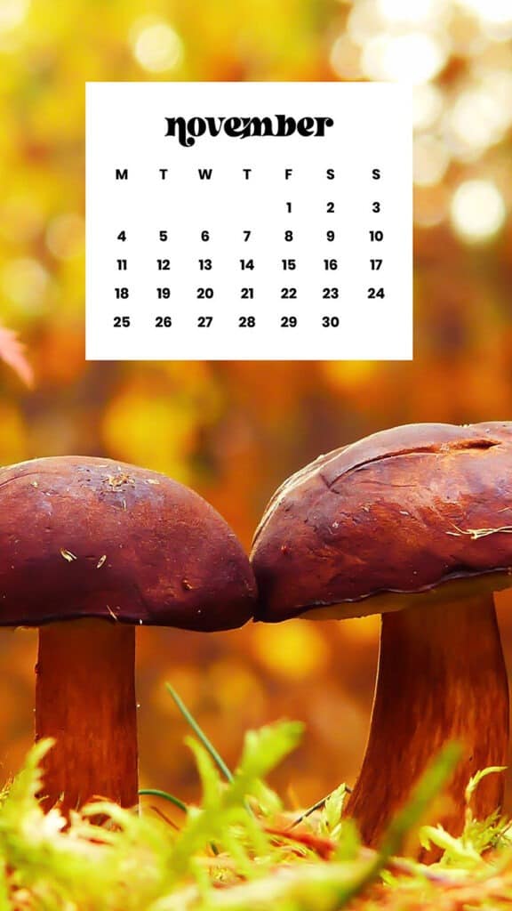 NOVEMBER 2024 WALLPAPERS – 60 FREE PHONE &amp; DESKTOP CALENDARS!, Oh So Lovely Blog