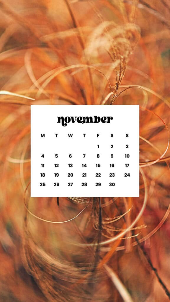 NOVEMBER 2024 WALLPAPERS – 60 FREE PHONE &amp; DESKTOP CALENDARS!, Oh So Lovely Blog