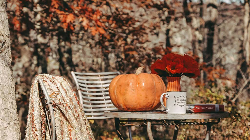 NOVEMBER 2024 WALLPAPERS – 60 FREE PHONE &amp; DESKTOP CALENDARS!, Oh So Lovely Blog