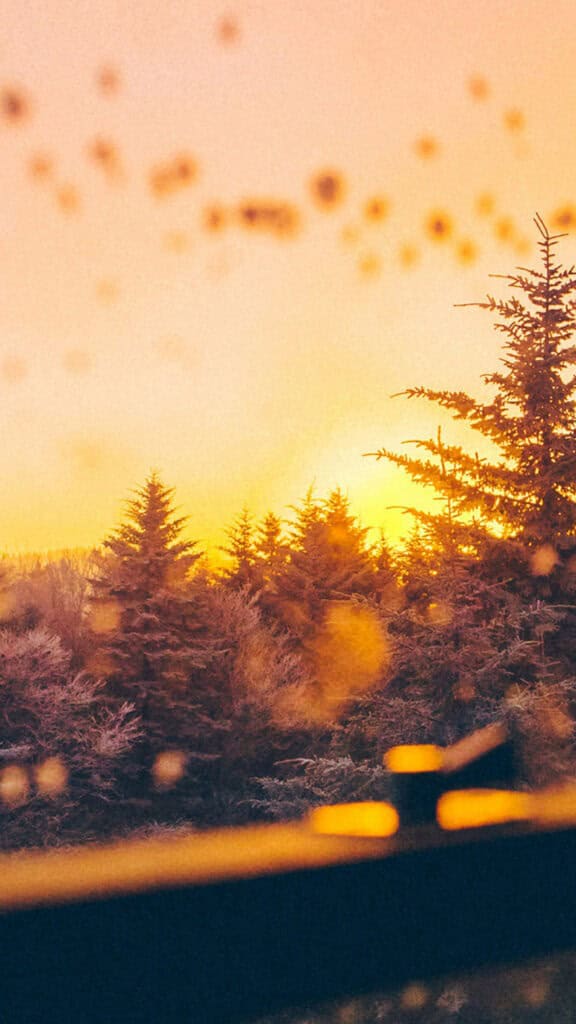 NOVEMBER 2024 WALLPAPERS – 60 FREE PHONE &amp; DESKTOP CALENDARS!, Oh So Lovely Blog