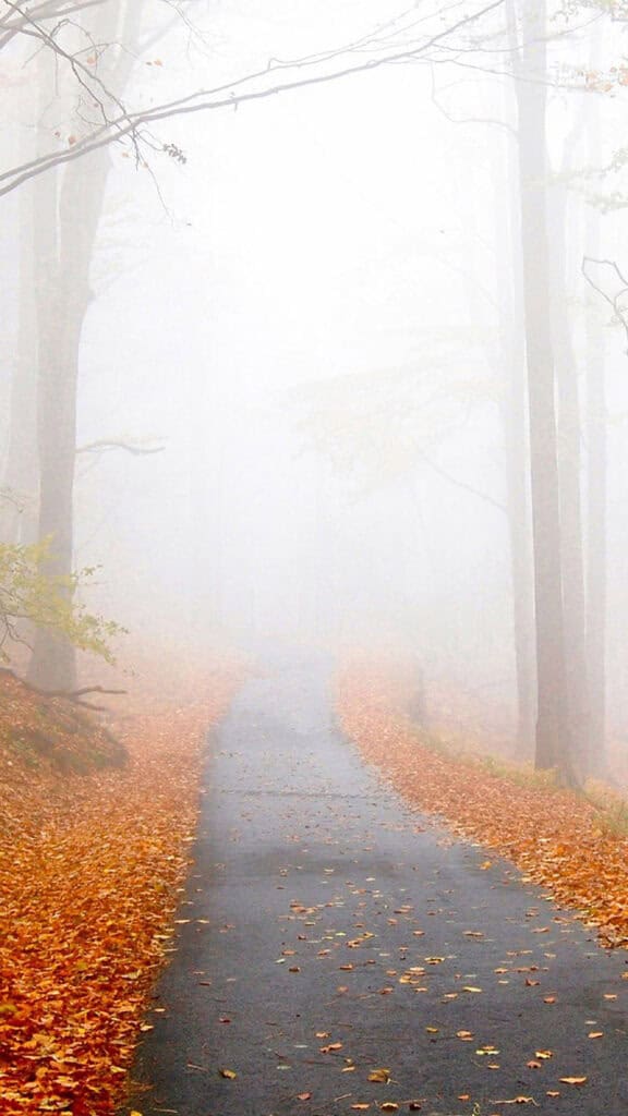 NOVEMBER 2024 WALLPAPERS – 60 FREE PHONE &amp; DESKTOP CALENDARS!, Oh So Lovely Blog