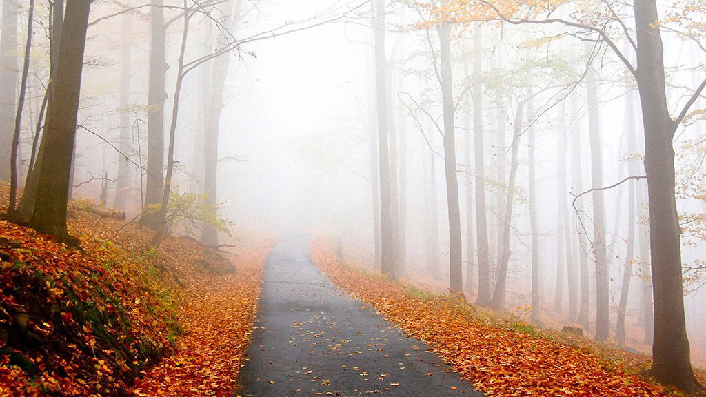NOVEMBER 2024 WALLPAPERS – 60 FREE PHONE &amp; DESKTOP CALENDARS!, Oh So Lovely Blog