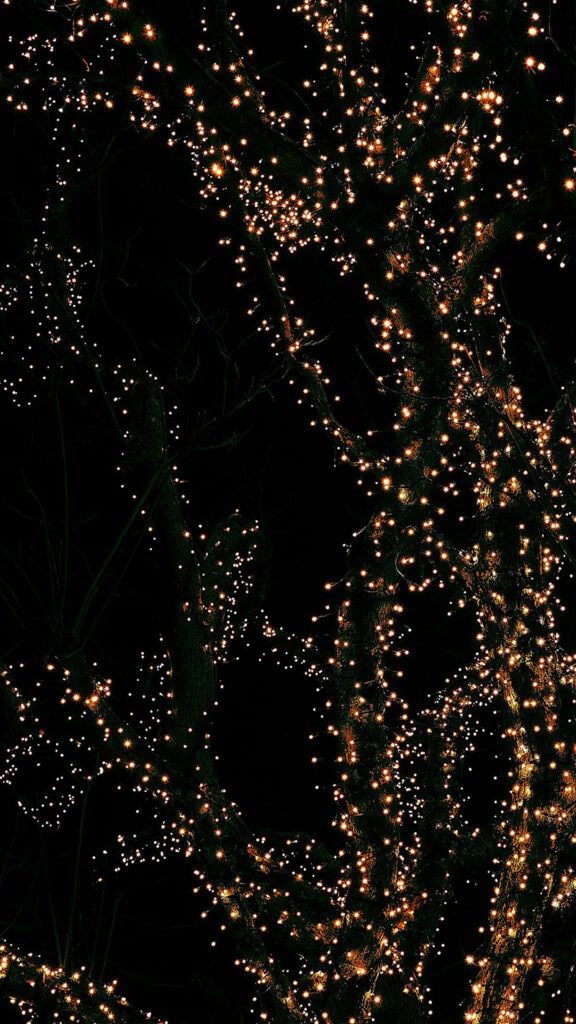 NOVEMBER 2024 WALLPAPERS – 60 FREE PHONE &amp; DESKTOP CALENDARS!, Oh So Lovely Blog