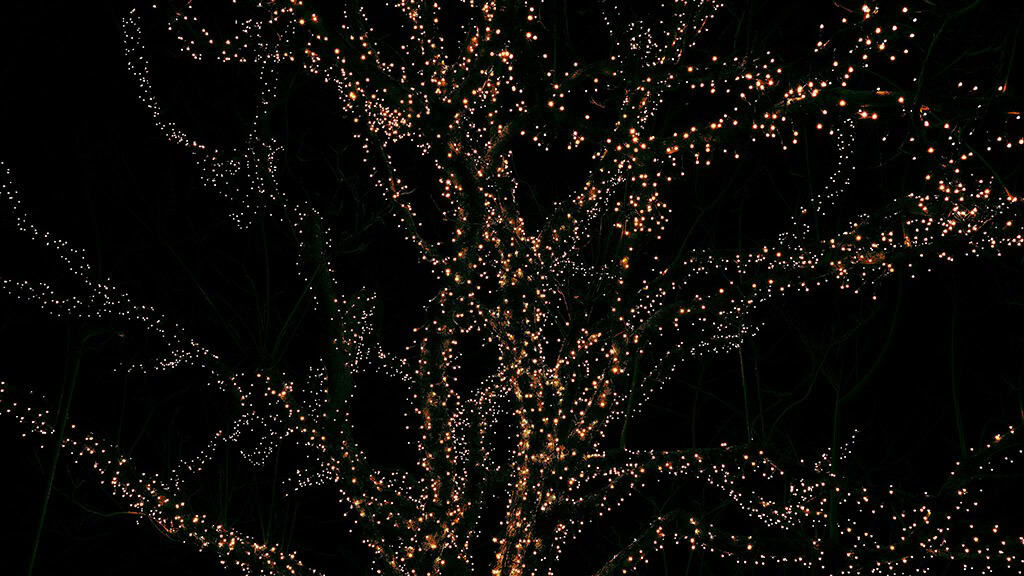 NOVEMBER 2024 WALLPAPERS – 60 FREE PHONE &amp; DESKTOP CALENDARS!, Oh So Lovely Blog
