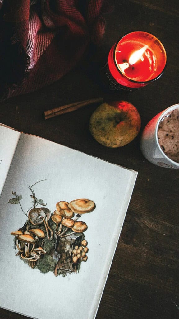 NOVEMBER 2024 WALLPAPERS – 60 FREE PHONE &amp; DESKTOP CALENDARS!, Oh So Lovely Blog