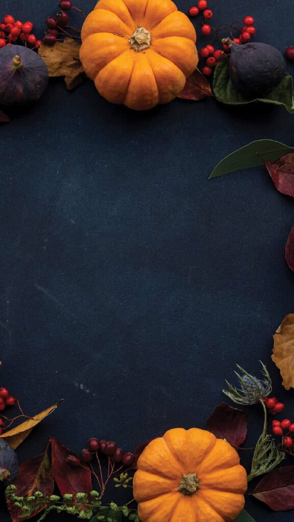 NOVEMBER 2024 WALLPAPERS – 60 FREE PHONE &amp; DESKTOP CALENDARS!, Oh So Lovely Blog