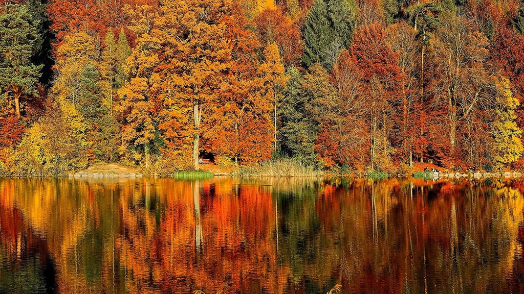 NOVEMBER 2024 WALLPAPERS – 60 FREE PHONE &amp; DESKTOP CALENDARS!, Oh So Lovely Blog
