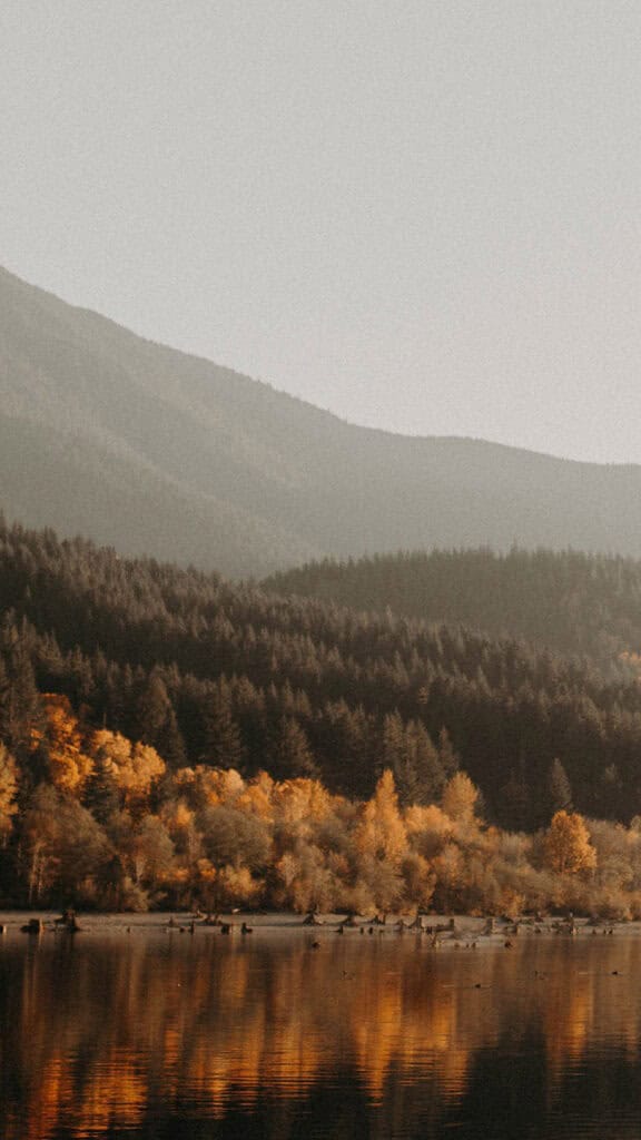 NOVEMBER 2024 WALLPAPERS – 60 FREE PHONE &amp; DESKTOP CALENDARS!, Oh So Lovely Blog