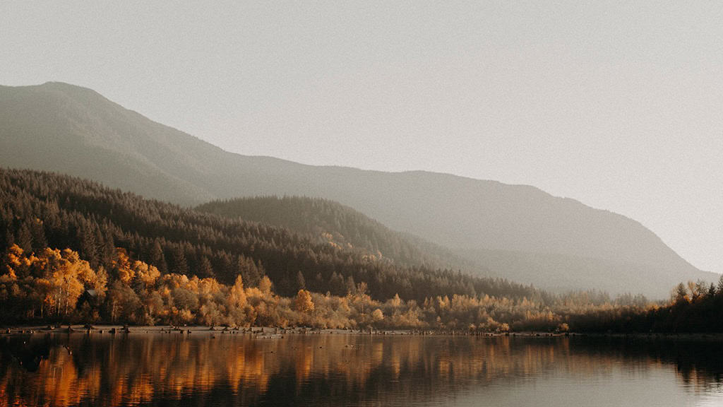NOVEMBER 2024 WALLPAPERS – 60 FREE PHONE &amp; DESKTOP CALENDARS!, Oh So Lovely Blog