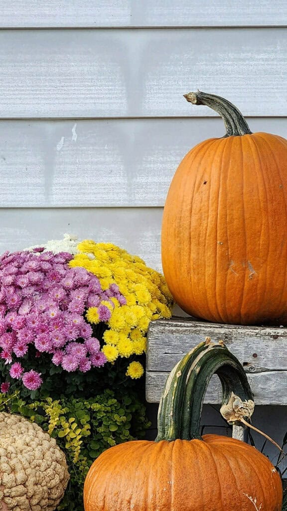 NOVEMBER 2024 WALLPAPERS – 60 FREE PHONE &amp; DESKTOP CALENDARS!, Oh So Lovely Blog