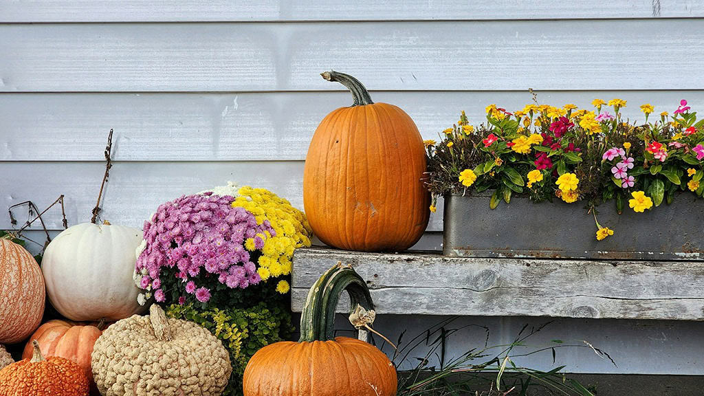 NOVEMBER 2024 WALLPAPERS – 60 FREE PHONE &amp; DESKTOP CALENDARS!, Oh So Lovely Blog