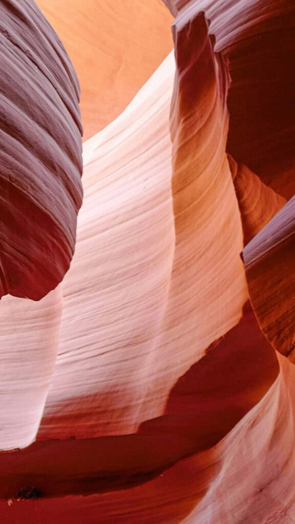 NOVEMBER 2024 WALLPAPERS – 60 FREE PHONE &amp; DESKTOP CALENDARS!, Oh So Lovely Blog
