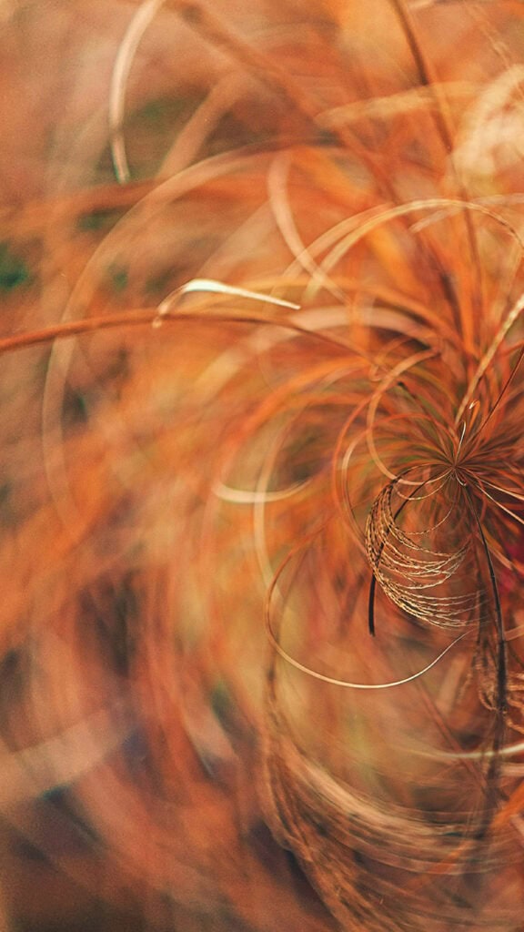 NOVEMBER 2024 WALLPAPERS – 60 FREE PHONE &amp; DESKTOP CALENDARS!, Oh So Lovely Blog