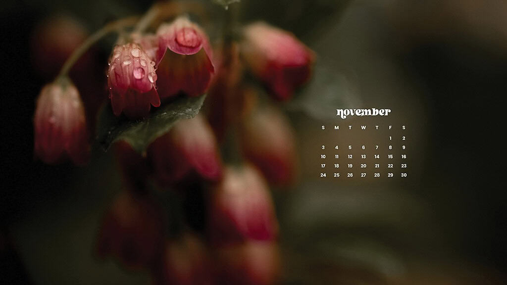 NOVEMBER 2024 WALLPAPERS – 60 FREE PHONE &amp; DESKTOP CALENDARS!, Oh So Lovely Blog