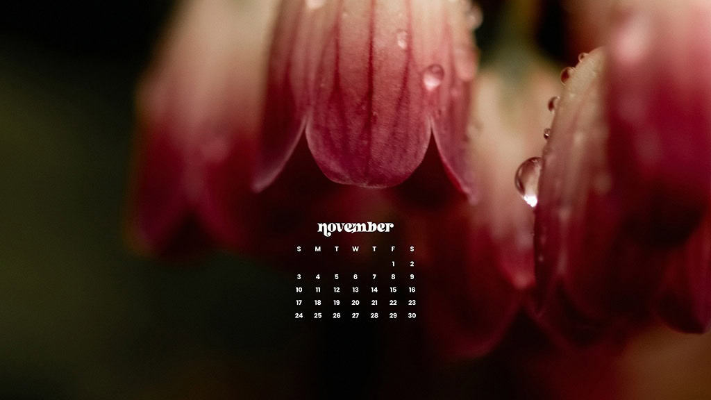 NOVEMBER 2024 WALLPAPERS – 60 FREE PHONE &amp; DESKTOP CALENDARS!, Oh So Lovely Blog