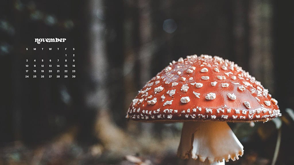 NOVEMBER 2024 WALLPAPERS – 60 FREE PHONE &amp; DESKTOP CALENDARS!, Oh So Lovely Blog