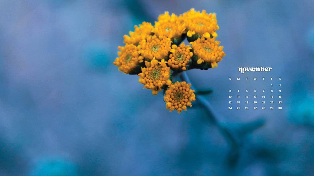 NOVEMBER 2024 WALLPAPERS – 60 FREE PHONE &amp; DESKTOP CALENDARS!, Oh So Lovely Blog