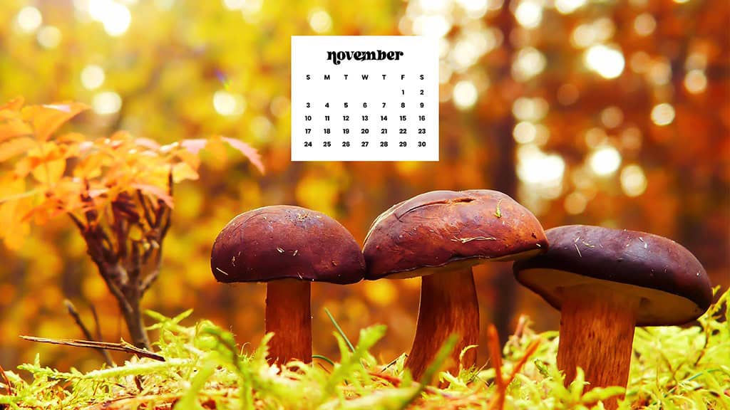 NOVEMBER 2024 WALLPAPERS – 60 FREE PHONE &amp; DESKTOP CALENDARS!, Oh So Lovely Blog