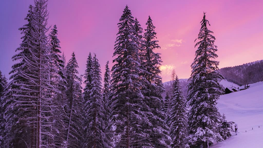 2025 Desktop Wallpapers – 55 Free &amp; Lovely Options!, Oh So Lovely Blog