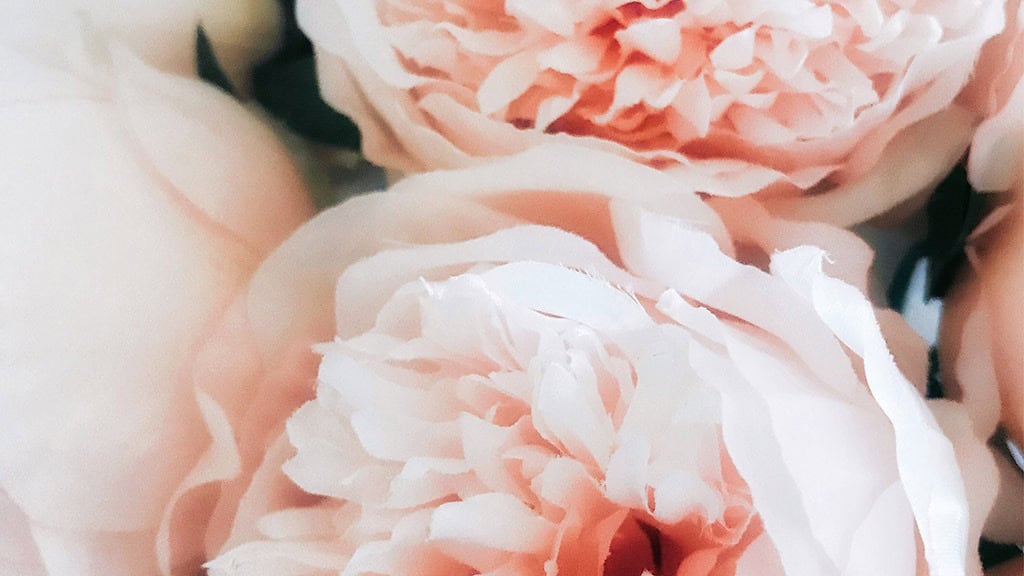 2025 Desktop Wallpapers – 55 Free &amp; Lovely Options!, Oh So Lovely Blog
