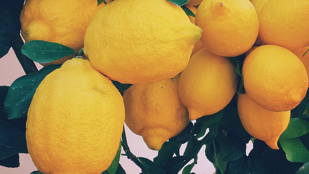 2025 Desktop Wallpapers – 55 Free &amp; Lovely Options!, Oh So Lovely Blog