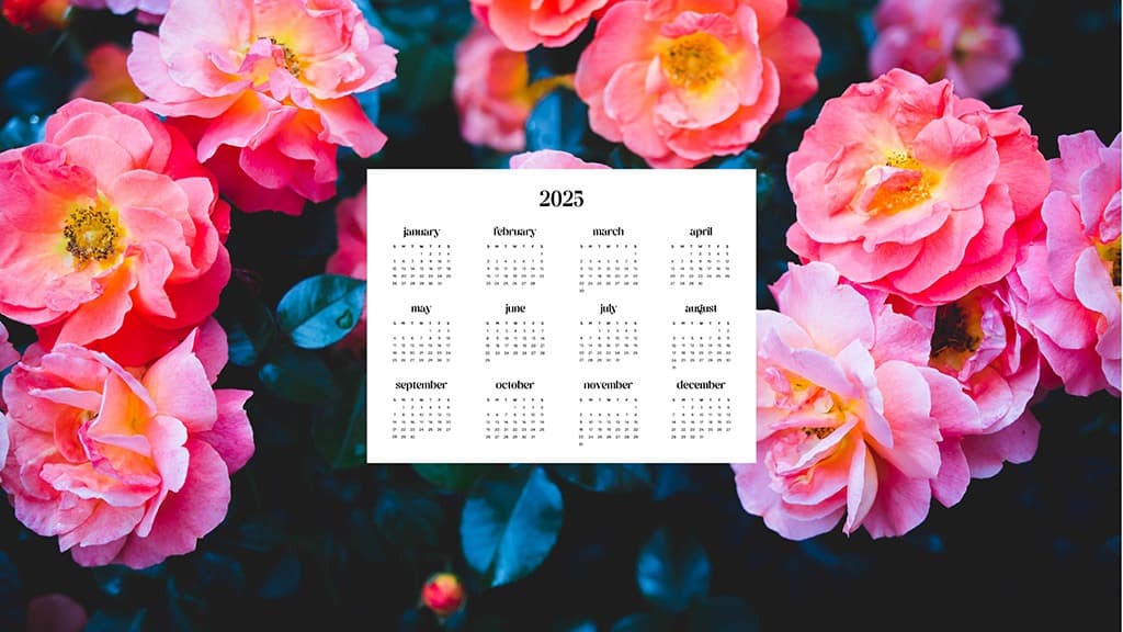 2025 Desktop Wallpapers – 55 Free &amp; Lovely Options!, Oh So Lovely Blog