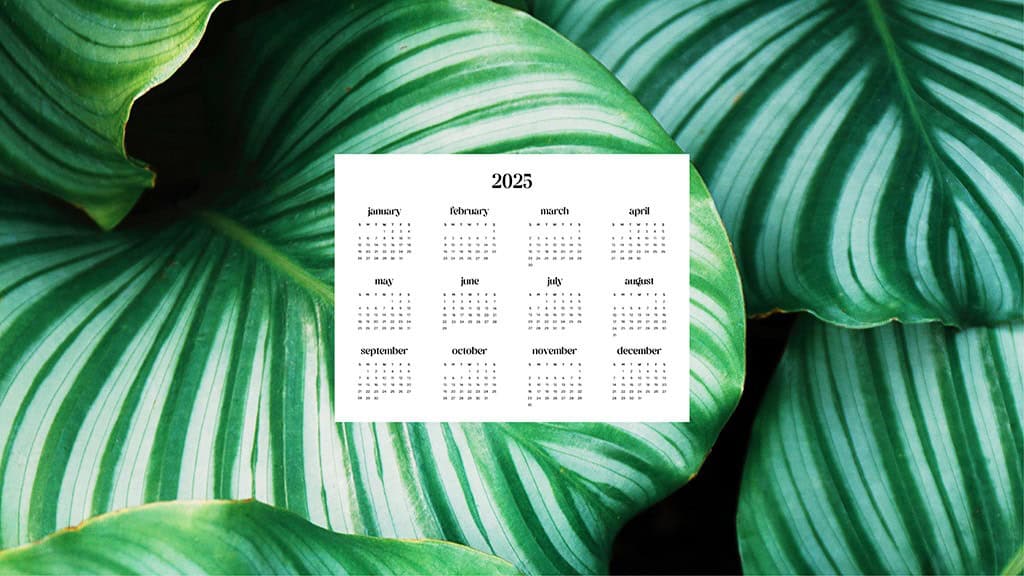 2025 Desktop Wallpapers – 55 Free &amp; Lovely Options!, Oh So Lovely Blog