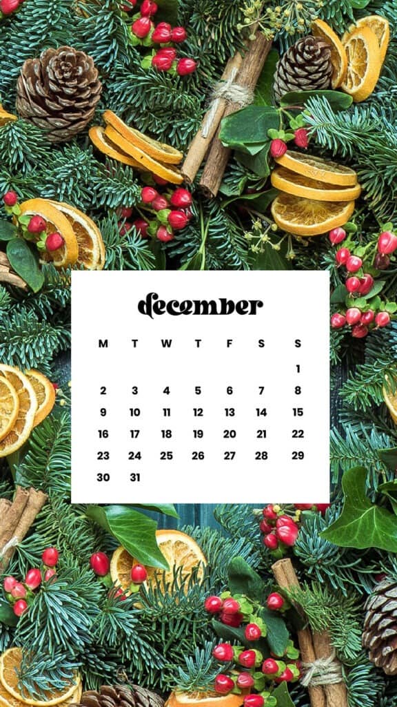 December 2024 Wallpapers – 79 Free Phone &amp; Desktop Calendars (+ Hanukkah &amp; Kwanzaa Options), Oh So Lovely Blog