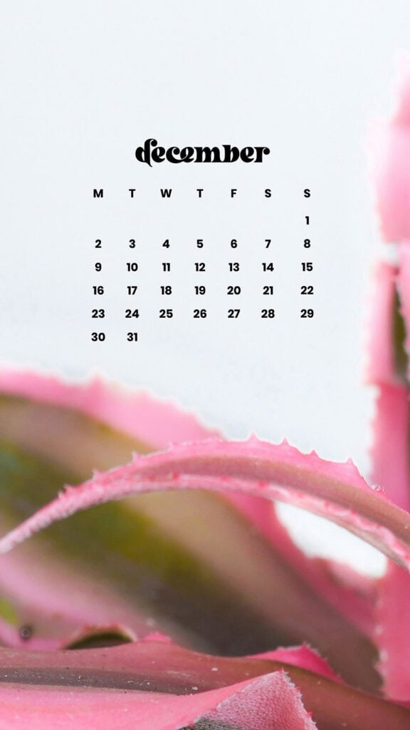 December 2024 Wallpapers – 79 Free Phone &amp; Desktop Calendars (+ Hanukkah &amp; Kwanzaa Options), Oh So Lovely Blog