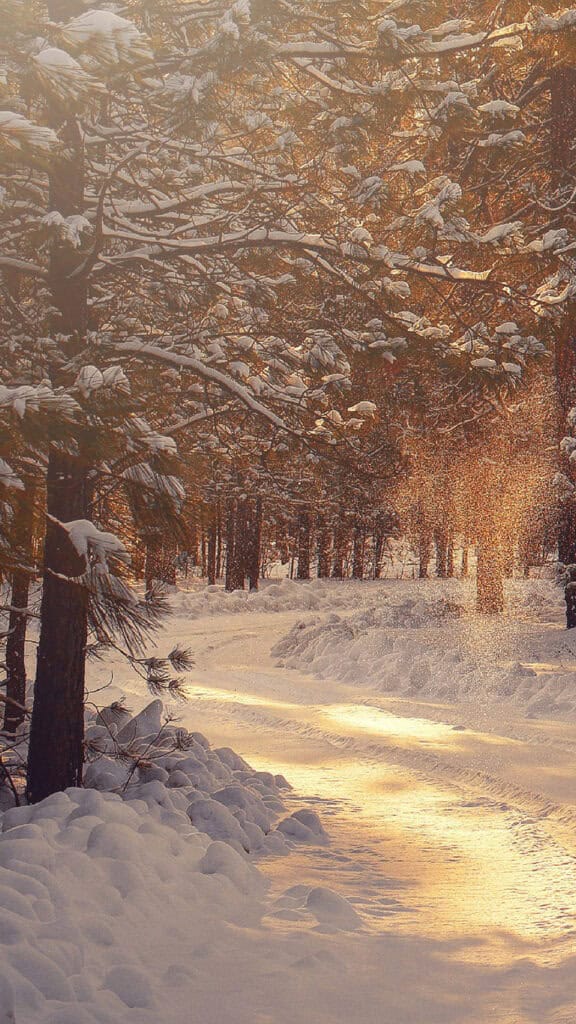 December 2024 Wallpapers – 79 Free Phone &amp; Desktop Calendars (+ Hanukkah &amp; Kwanzaa Options), Oh So Lovely Blog